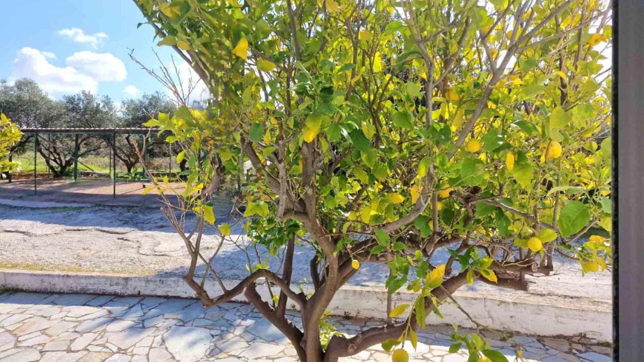 My Cretan Village By Go4Sea Chorafakia Esterno foto